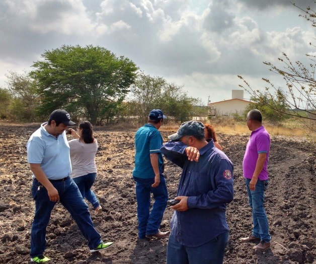 Avistan puma merodeando en escuela Avistan puma merodeando en escuela