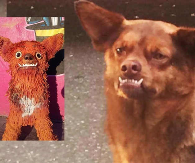 Chilaquil ya puede estar en tu fiesta