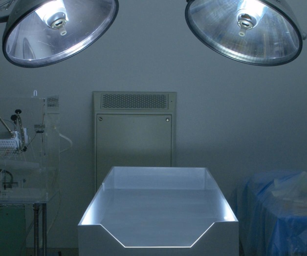 La criogenia humana “es como congelar un filete putrefacto” La criogenia humana “es como congelar un filete putrefacto”