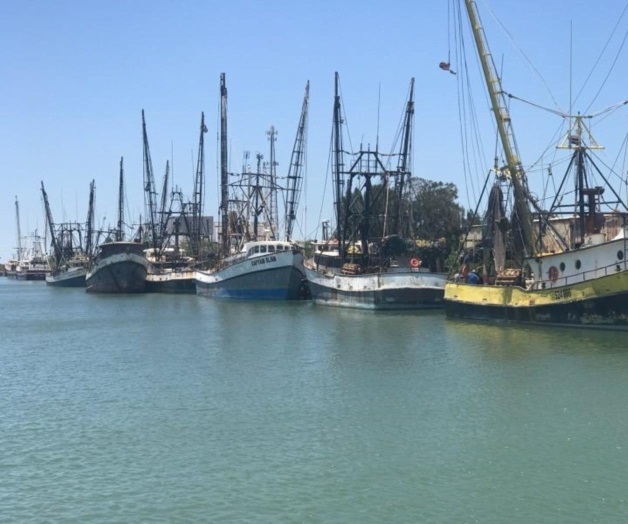 Lista  flota camaronera; escasean los pescadores