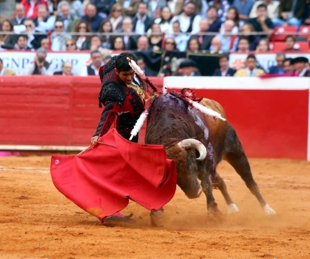 Triunfa Joselito Adame en Madrid