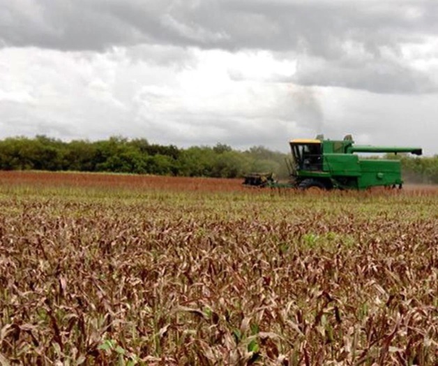 ‘Trillas de pánico’; temen a las lluvias