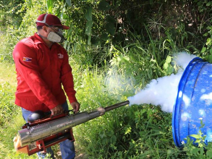 Destruyen criaderos de zancudos Destruyen criaderos de zancudos