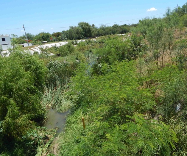 Urgen tareas de limpieza y desazolve en drenes