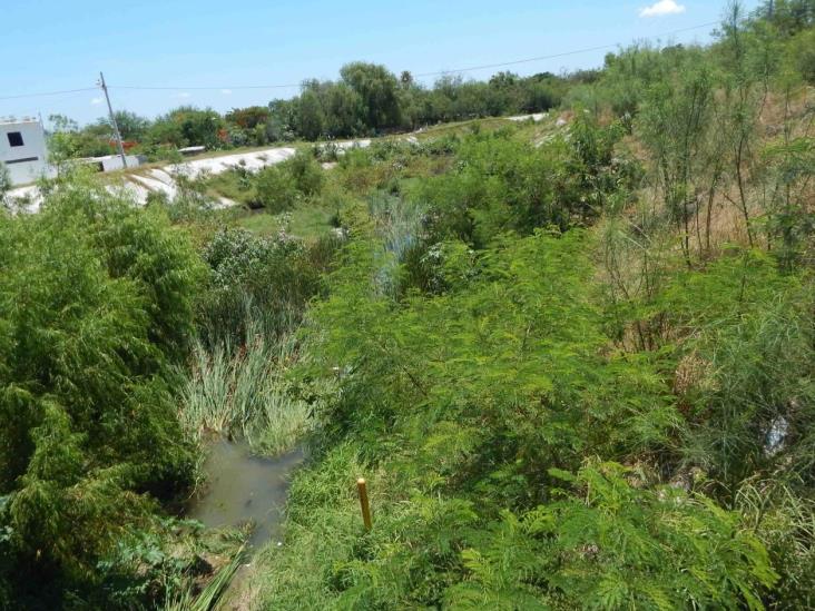 Urgen tareas de limpieza y desazolve en drenes Urgen tareas de limpieza y desazolve en drenes