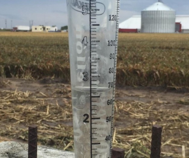Paralizan lluvias las trillas de sorgo