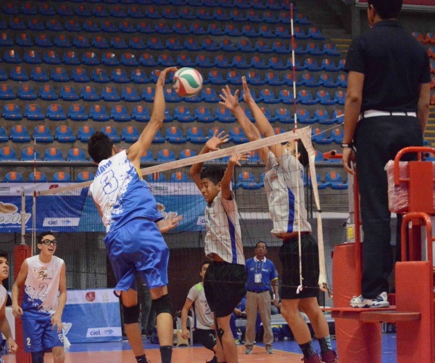 Se quedan con la plata en voli Se quedan con la plata en voli