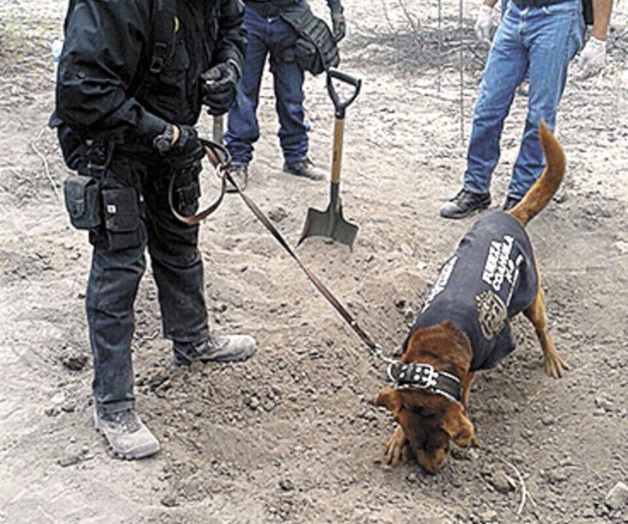 Reabren una macrofosa en rancho de exterminio Reabren una macrofosa en rancho de exterminio
