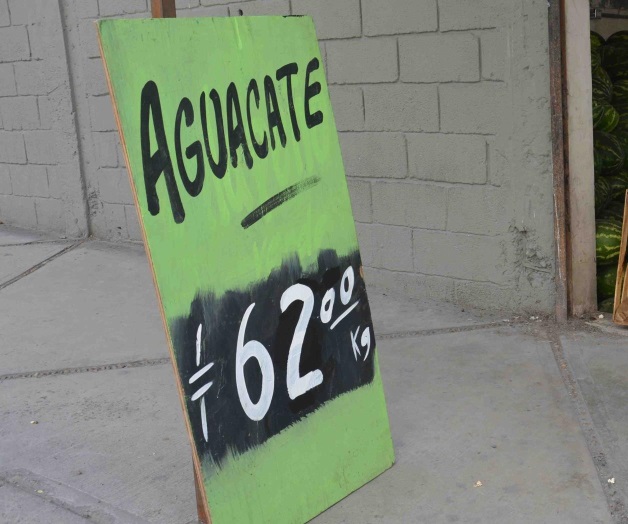 Reportan baja en el precio del aguacate Reportan baja en el precio del aguacate