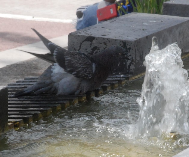 A refrescarse A refrescarse