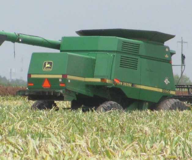 Trillarán bajola lluvia si es necesario Trillarán bajola lluvia si es necesario