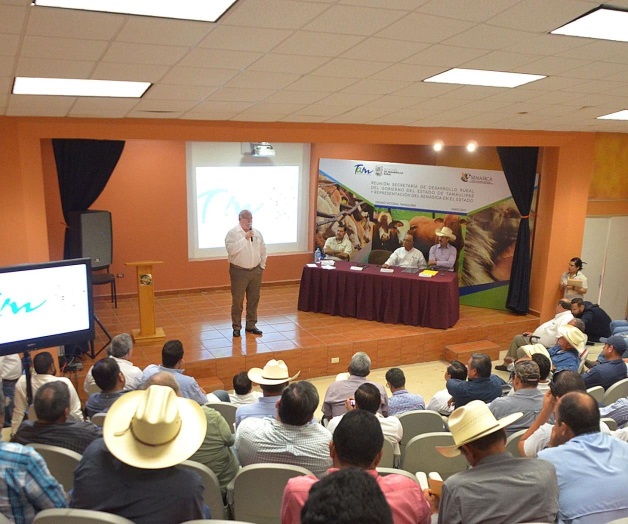 Atenderán problema de plagas en bovinos Atenderán problema de plagas en bovinos