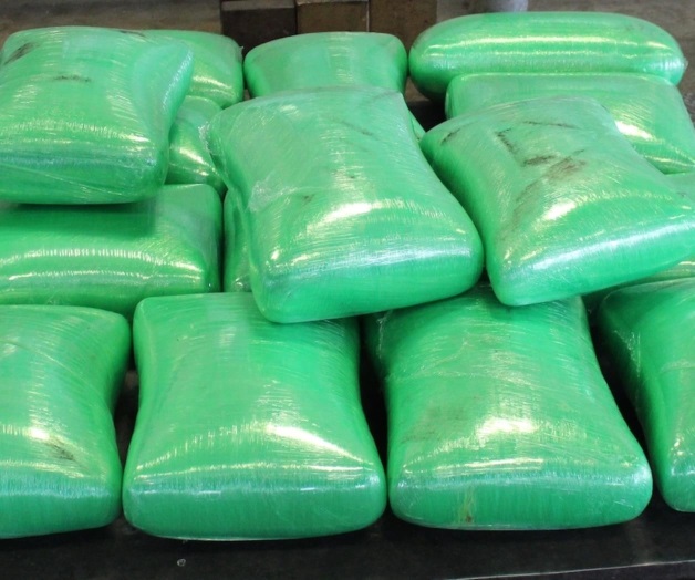 ‘Atoran’ carga de droga entre chiles jalapeños. Asegura CBP 655 libras de mariguana ‘Atoran’ carga de droga entre chiles jalapeños. Asegura CBP 655 libras de mariguana