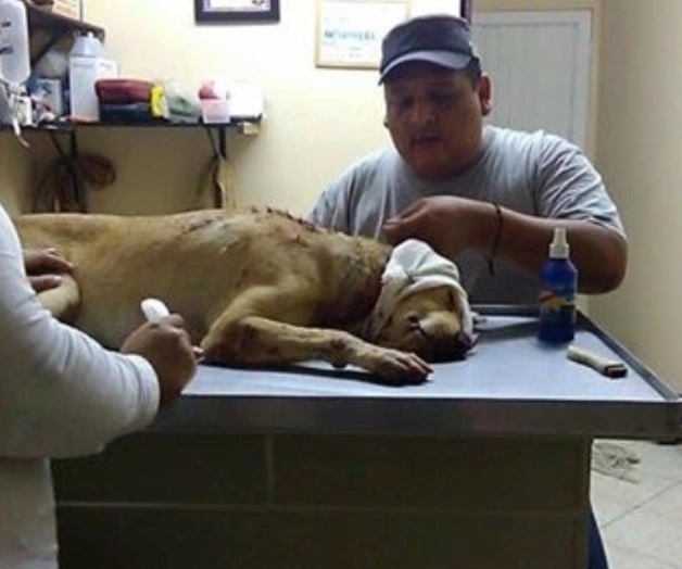 Guerejo descansa en paz; fue atacado ayer con un machete Guerejo descansa en paz; fue atacado ayer con un machete