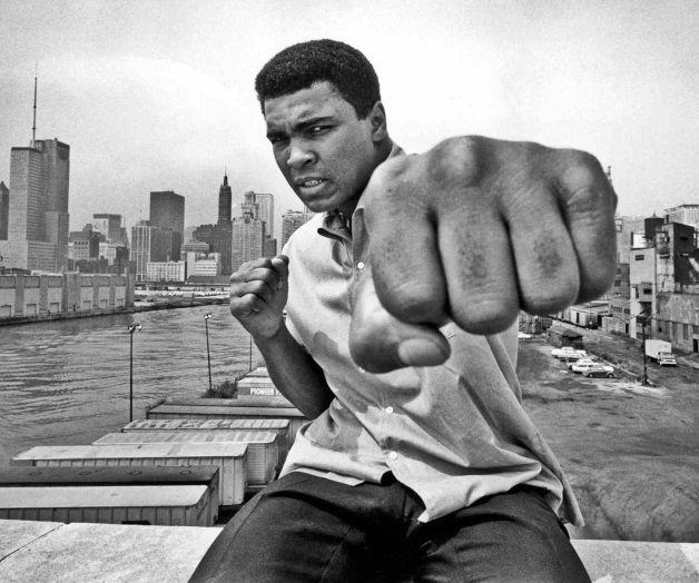 ¡CELEBRAN AL REY! ¡CELEBRAN AL REY!