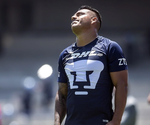 Transferibles ‘felinos gordos’ Transferibles ‘felinos gordos’