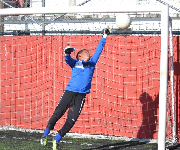 ¡GUARDIANES DEL ARCO!