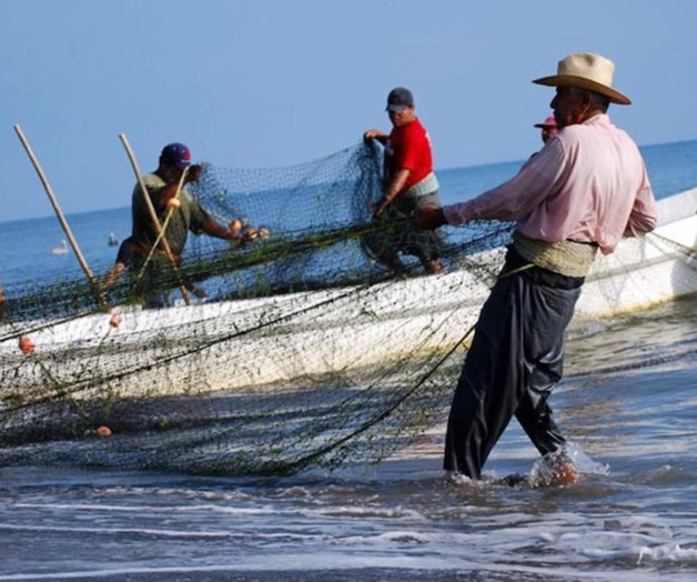 Esperan aterrice pronto programa de empleo temporal Esperan aterrice pronto programa de empleo temporal