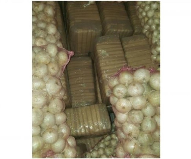 Aseguran marihuana oculta entre cebollas en Tamaulipas