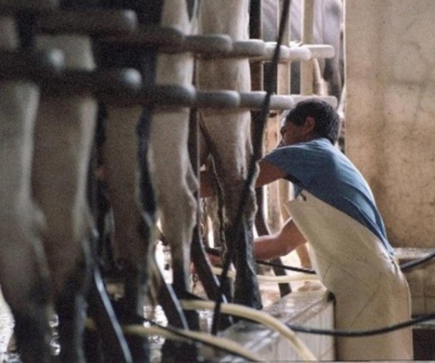 Explotan a miles de mexicanos en granjas Explotan a miles de mexicanos en granjas