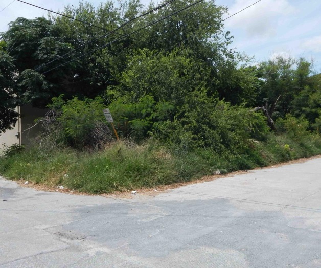 Representan nido de toda alimaña Representan nido de toda alimaña