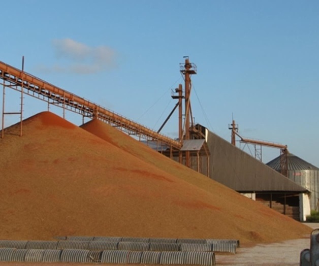 Esperan campesinos paguenprecios justos por cosechas. Ya se entregaron