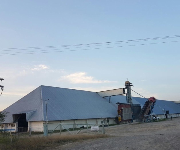 Sequía y calor bajan rendimientos de sorgo. Ciclo otoño-invierno 2016-2017 Sequía y calor bajan rendimientos de sorgo. Ciclo otoño-invierno 2016-2017