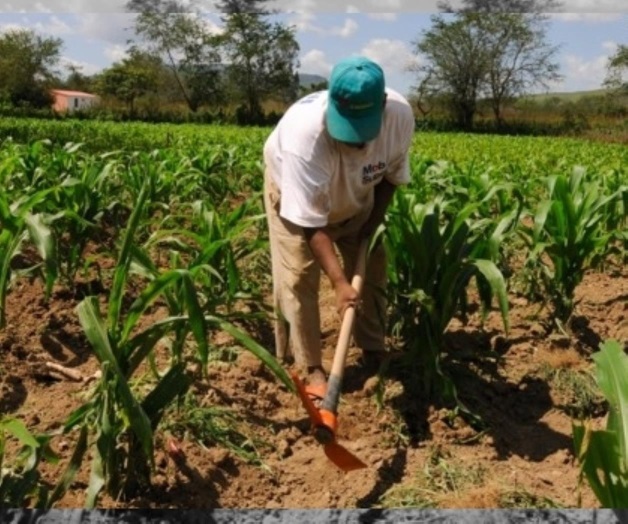 Invitan a registrarseal programa Proagro. Faltan más de mil productores