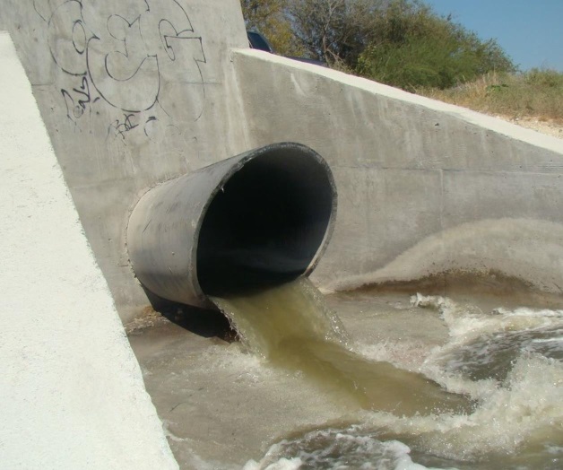 Extingue contaminación peces en el canal Rodhe Extingue contaminación peces en el canal Rodhe