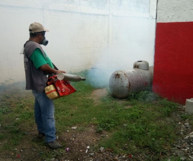 Demandan fumigar tianguis vespertinos