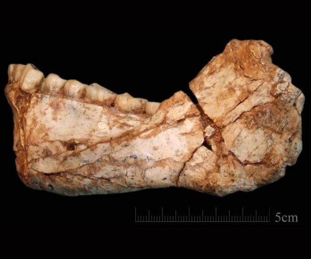 Descubren en Marruecos restos de los primeros Homo sapiens