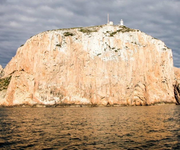 Reservas marinas protegidas contribuyen a frenar cambio climático