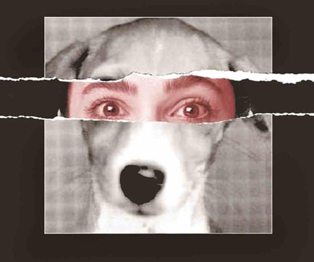 Maltrato animal: Signo de alarma psiquiátrica Maltrato animal: Signo de alarma psiquiátrica