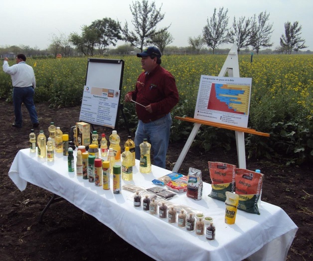 Invitan a productores a sembrar frijol soya Invitan a productores a sembrar frijol soya