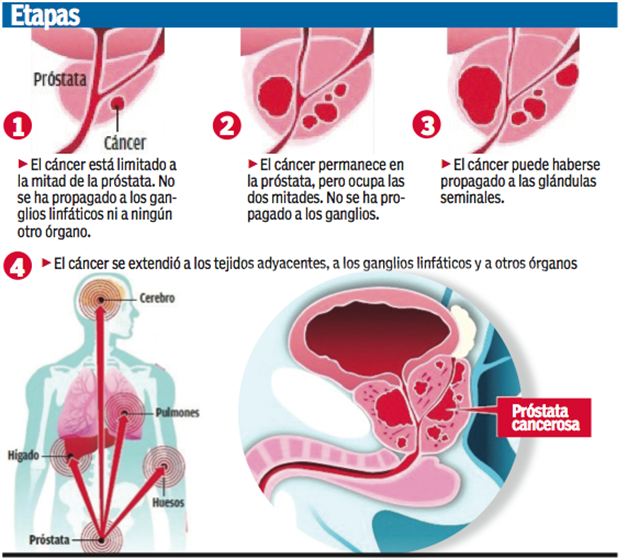 imagen-cuerpo