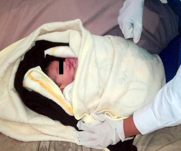 Encuentran entre arbustos a recién nacida en Tlalpan Encuentran entre arbustos a recién nacida en Tlalpan