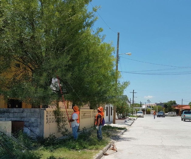 Podan los árboles para evitar cortes de energía Podan los árboles para evitar cortes de energía