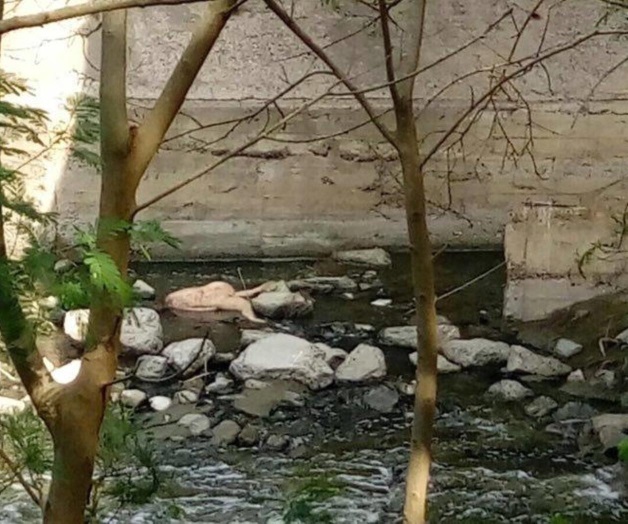 Matan y arrojan a mujer al arroyo. Autoridades investigan los hechos Matan y arrojan a mujer al arroyo. Autoridades investigan los hechos