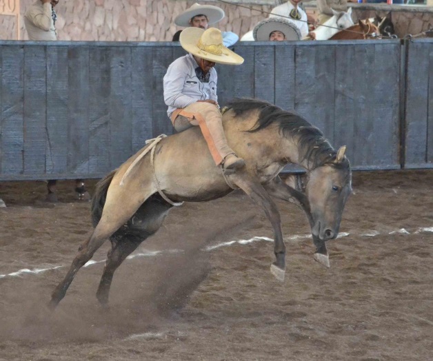 Charreada a beneficio