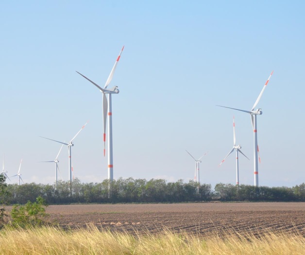 Empresarios, comprometidos en preservar medio ambiente