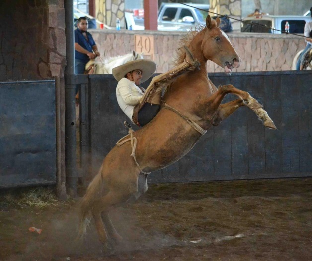 SE AYUDAN MUTUAMENTE SE AYUDAN MUTUAMENTE
