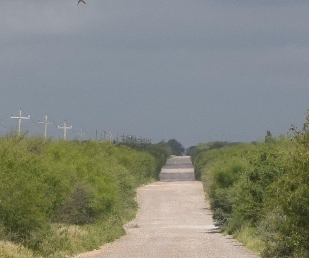 Utilizan violencia para despojar de unidad a empleados Utilizan violencia para despojar de unidad a empleados