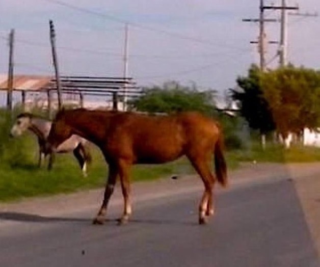 Conductores bajo riesgo Conductores bajo riesgo