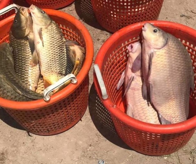 Advierten peligrosde pescar en lago. Alertan por riesgo de cáncer Advierten peligrosde pescar en lago. Alertan por riesgo de cáncer