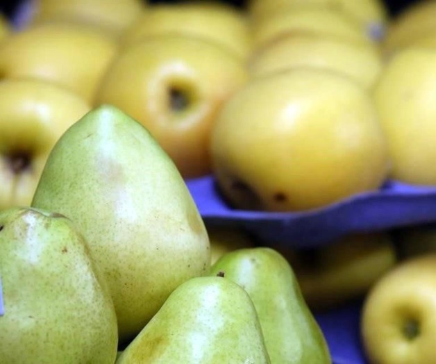 Temen en Estados Unidos represalia mexicana Temen en Estados Unidos represalia mexicana