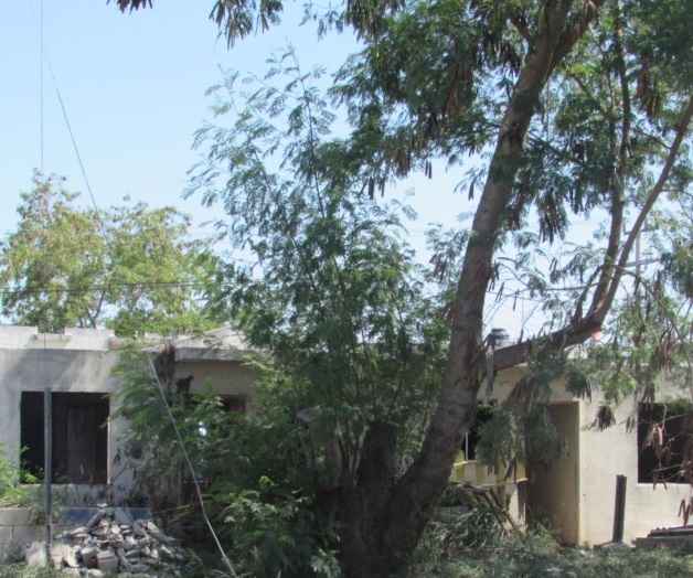 Abandonan casas por falta de oportunidades Abandonan casas por falta de oportunidades