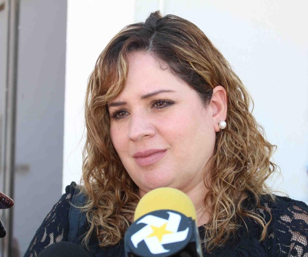 Revisarán con ‘lupa’ el caso parquímetros