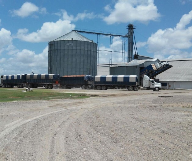 Productores a merced de voraces acopiadores Productores a merced de voraces acopiadores
