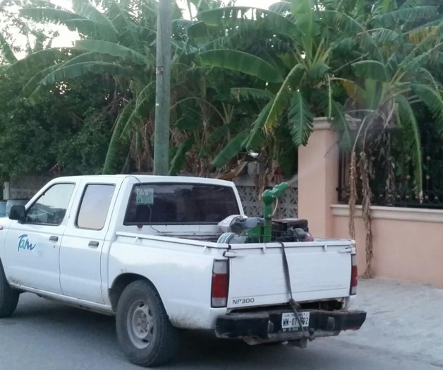 Eliminan con abateal mosco del dengue