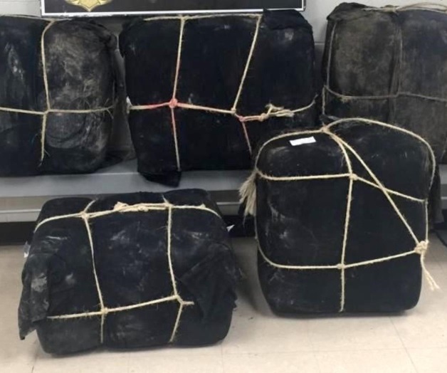 Decomisa PF 400 Lbs. de mariguana